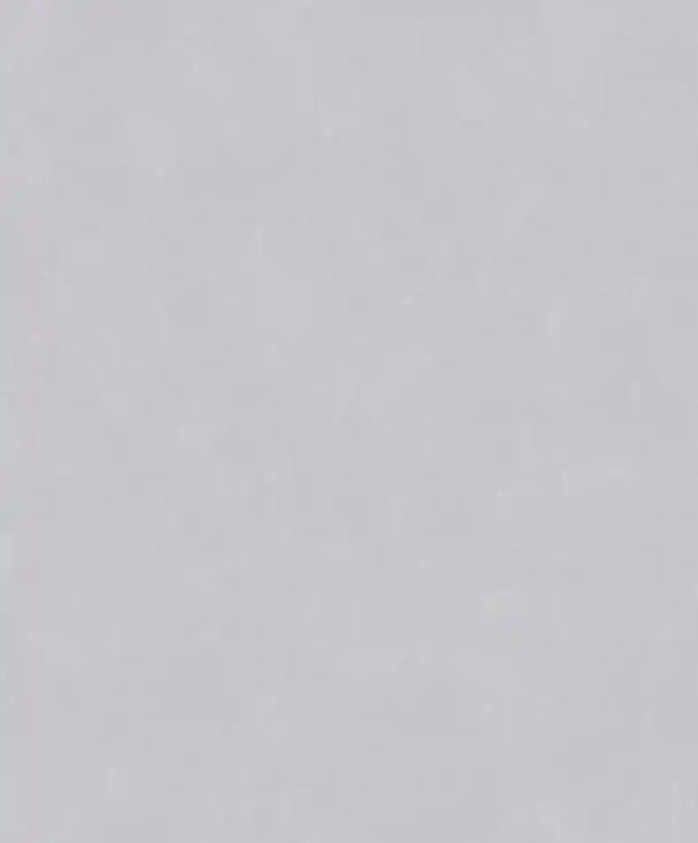 Solid light gray color swatch