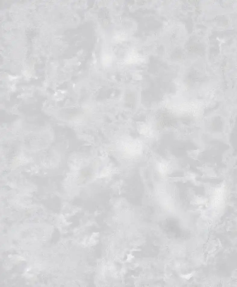 Solid light gray color swatch