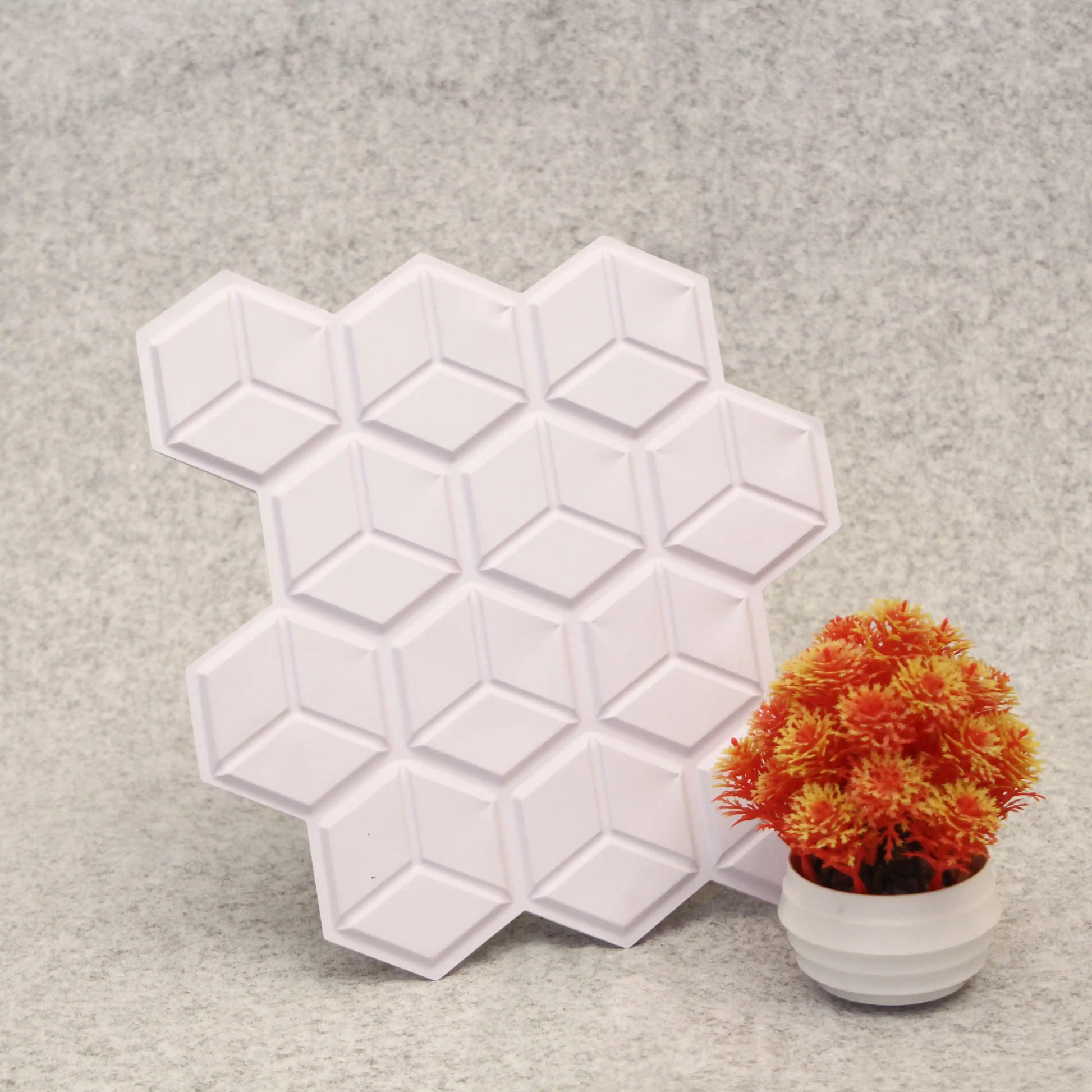 Hexagonal silicone mold on a gray surface with a small potted plant.