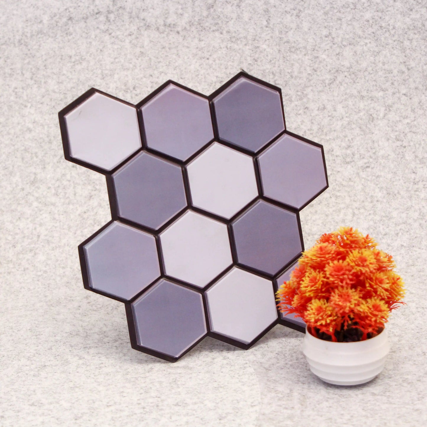 Hexagonal tile pattern on a textured surface with a potted plant.