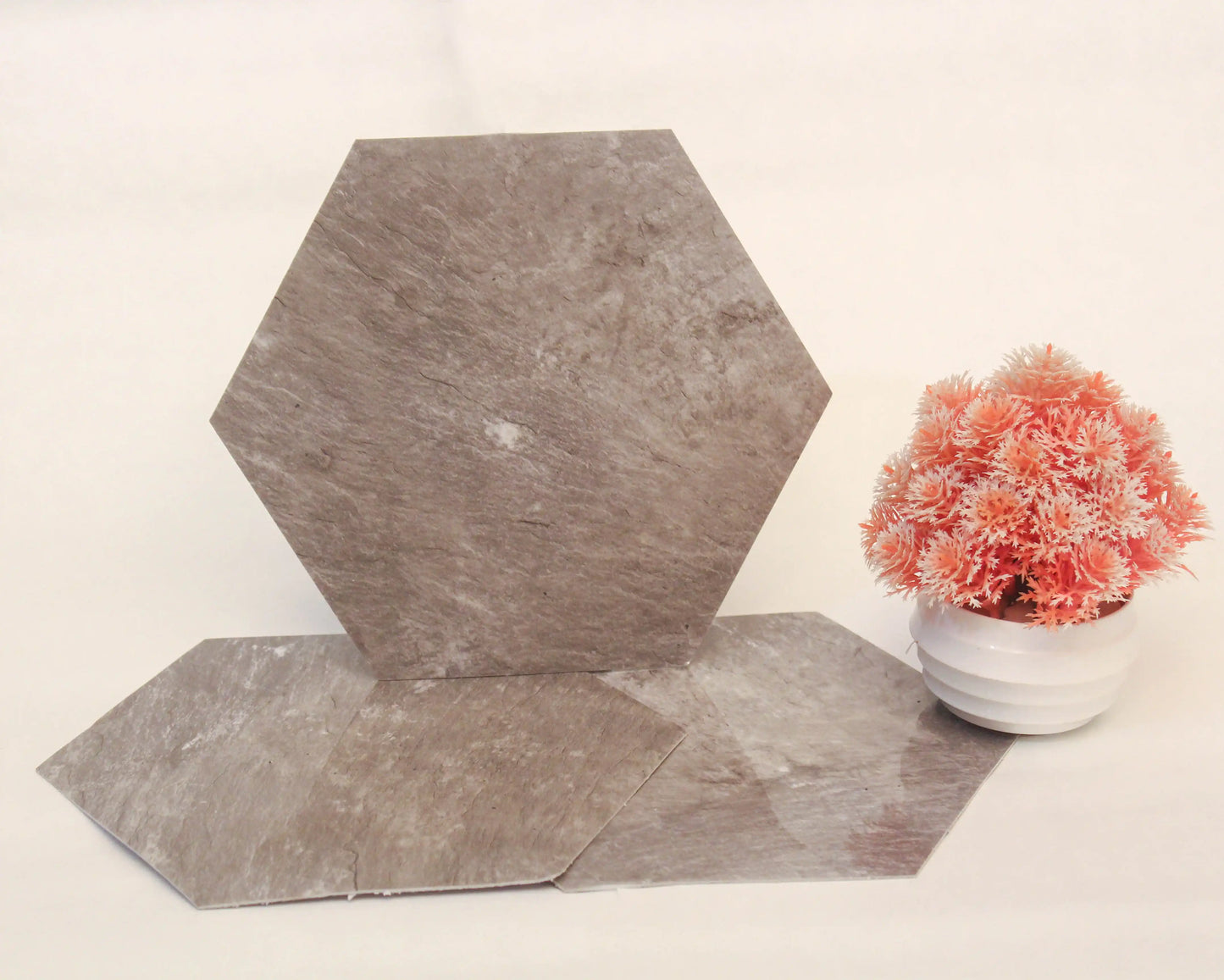 Hexagonal tiles on a light surface with a small potted plant.