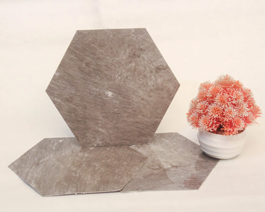Hexagonal tiles on a light surface with a small potted plant.