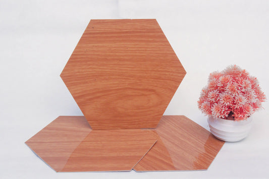 Hexagonal wooden tiles on a white background with a small potted plant.