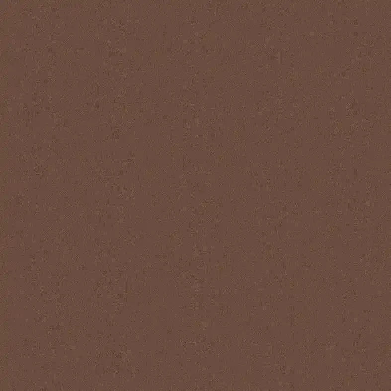 Solid brown color swatch