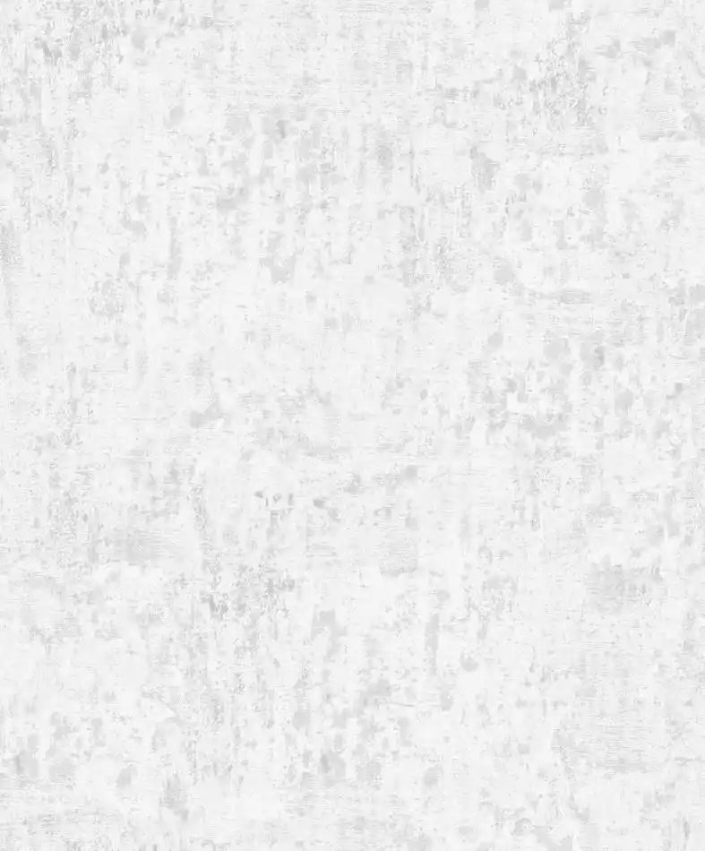 Solid light gray color swatch