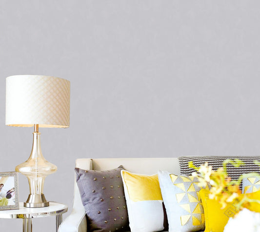Living room with a lamp, sofa, and decorative pillows against a gray wall.