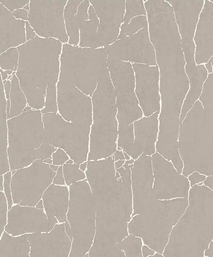 Gray background with white cracked pattern