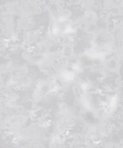 Solid light gray color swatch